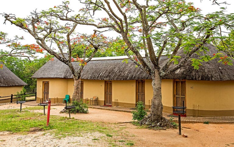 3 Day Kruger Classic Camping Safari Tour